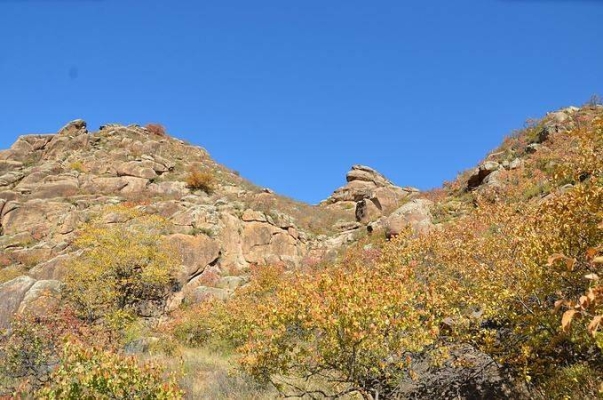 赤峰林西加油站電話地址查詢-第1張圖片