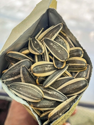 赤峰張廣明瓜子店地址電話號碼-第1張圖片