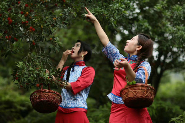 赤峰東梅采摘園電話多少號-第1張圖片