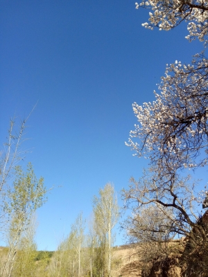 赤峰牛營子農(nóng)家院電話號碼-第1張圖片