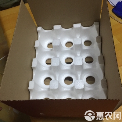 赤峰市泡沫箱批發(fā)電話號(hào)碼-第1張圖片