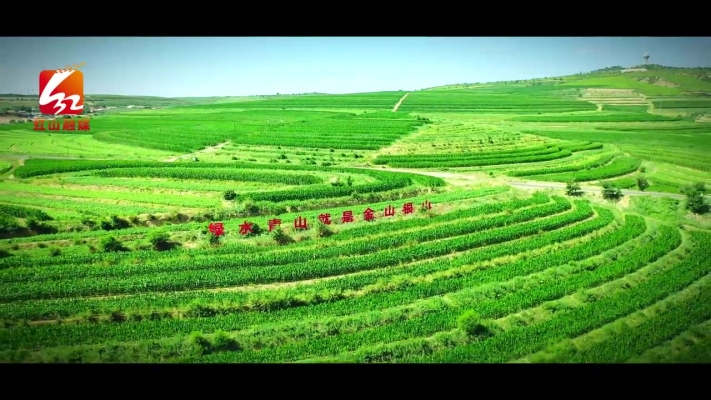 赤峰紅山區(qū)旱冰場電話號碼-第1張圖片