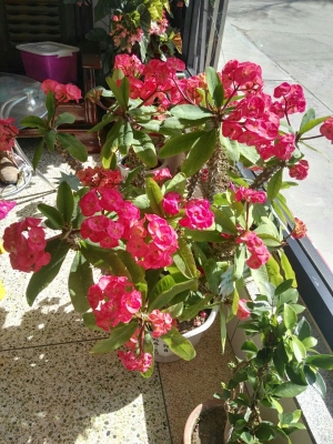 赤峰寧城縣天南社區(qū)電話號碼-第1張圖片