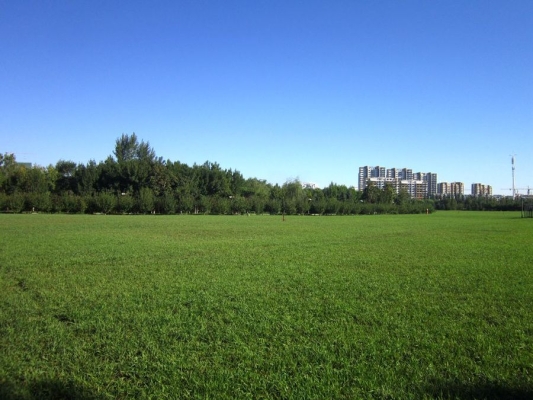 石博園赤峰新華書店電話號碼-第1張圖片