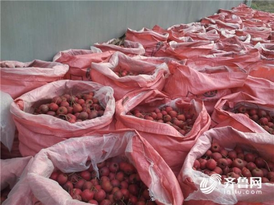 赤峰山楂種植基地電話(huà)號(hào)碼查詢(xún)-第1張圖片