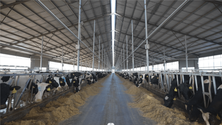 赤峰市勇敢牧場(chǎng)電話號(hào)碼查詢-第1張圖片