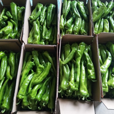 赤峰蔬菜批發(fā)店電話號(hào)碼多少-第1張圖片