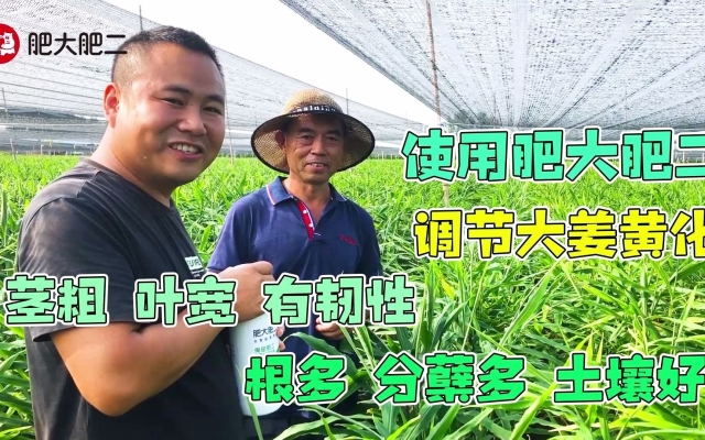 赤峰大肥二肥廠地址電話號碼-第1張圖片