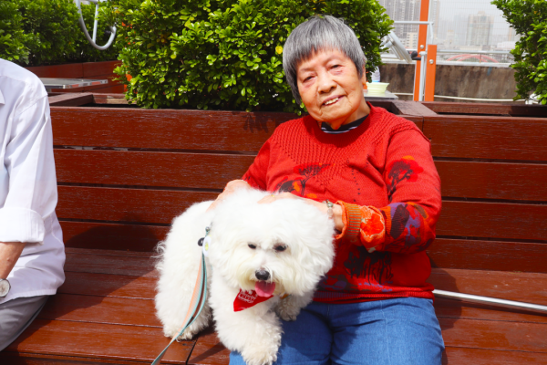 赤峰歡樂萌寵園電話多少號-第1張圖片