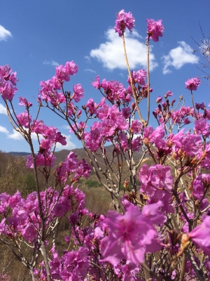 赤峰寧城華姿美發(fā)店電話號碼-第1張圖片