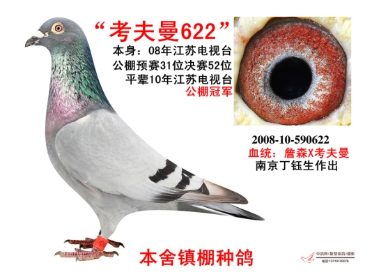 赤峰王鳴宇鴿舍地址電話號碼-第1張圖片