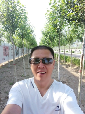 赤峰市松山鎮(zhèn)殘聯(lián)電話號碼是多少-第1張圖片