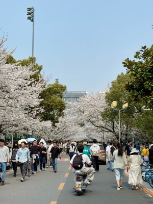 同濟大學(xué)醫(yī)院 赤峰路-第1張圖片