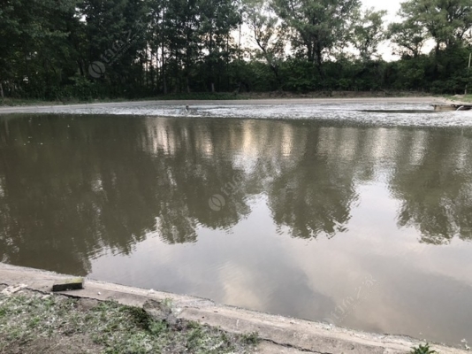 赤峰市老三垂釣園電話(huà)號(hào)碼-第1張圖片