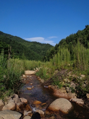 赤峰大貝溝景區(qū)電話多少號-第1張圖片