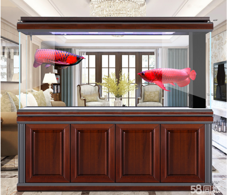 赤峰同城賣(mài)觀賞魚(yú)電話地址查詢-第1張圖片