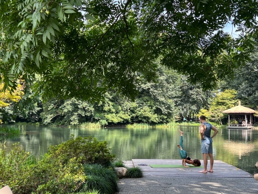 赤峰綠光森林公園電話多少號(hào)-第1張圖片