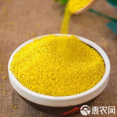 赤峰小米產(chǎn)地直售電話是多少號-第1張圖片