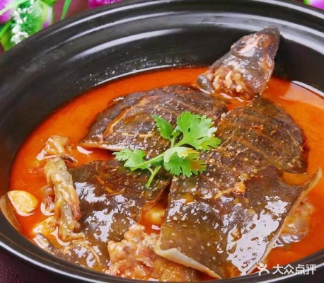 赤峰市甲魚(yú)館地址電話(huà)查詢(xún)號(hào)碼-第1張圖片