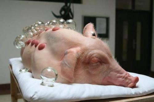 赤峰拔火罐團(tuán)購(gòu)電話號(hào)碼查詢-第1張圖片