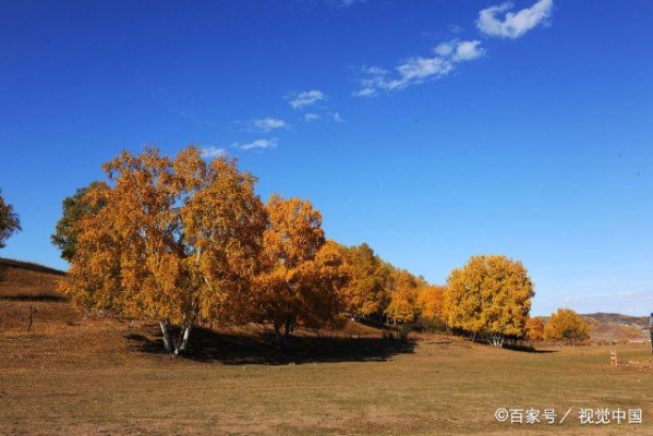 內(nèi)蒙古赤峰聯(lián)禹環(huán)保電話號碼-第1張圖片