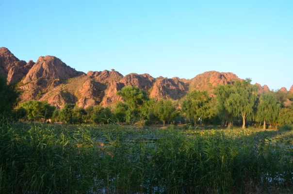 赤峰紅山區(qū)厚廚飯店電話號(hào)碼-第1張圖片