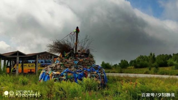 赤峰老電桿廠電話多少號碼-第1張圖片