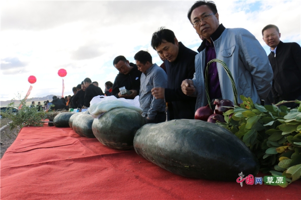 赤峰屠宰牛羊廠電話多少號-第1張圖片