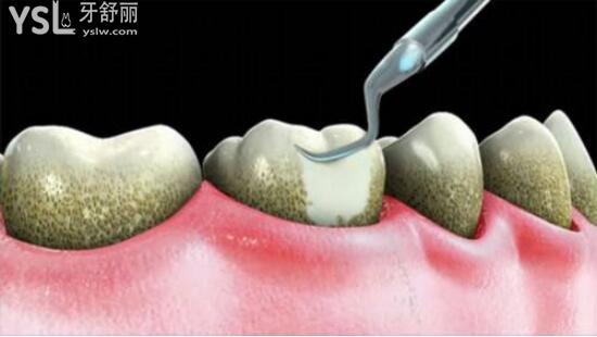 赤峰市潔美口腔門診電話號(hào)碼-第1張圖片