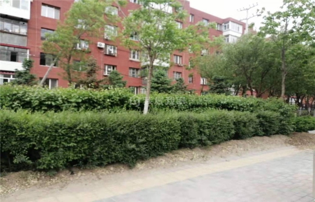 赤峰鐵南食堂訂餐電話是多少號-第1張圖片