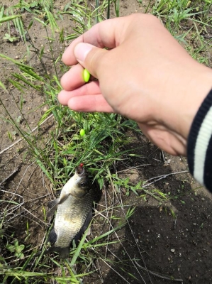 赤峰市釣黑魚的地方電話號碼-第1張圖片