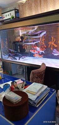 赤峰市清洗魚缸電話號(hào)碼查詢-第1張圖片