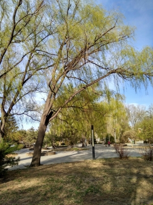 赤峰紅山區(qū)親民商場電話號碼-第1張圖片