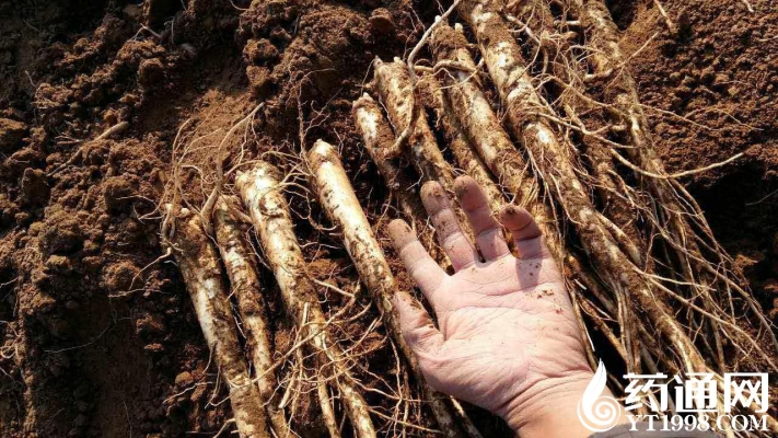 赤峰賈營子村電話多少號(hào)-第1張圖片