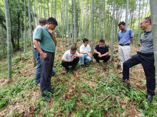 赤峰林業(yè)局局長-第1張圖片