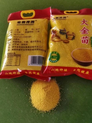 赤峰紅谷種子公司電話號碼-第1張圖片