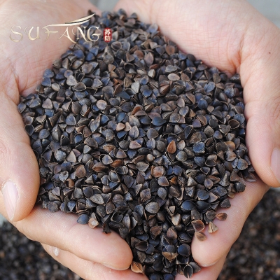 赤峰林西收購蕎麥電話是多少號-第1張圖片