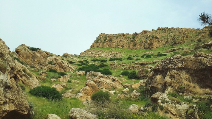 赤峰紅廟子中正飼料廠電話號碼-第1張圖片