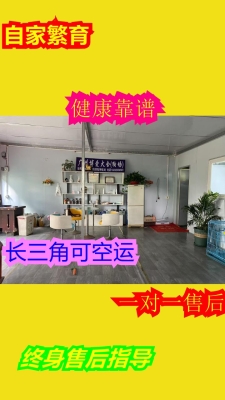 赤峰市薩摩耶犬舍電話地址查詢(xún)-第1張圖片