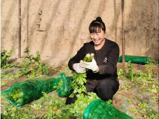赤峰勞道炸雞店電話號(hào)碼多少-第1張圖片