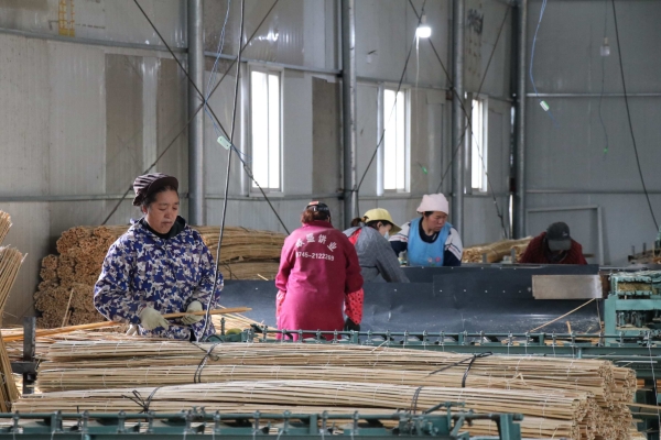 赤峰竹條廠電話多少號啊-第1張圖片