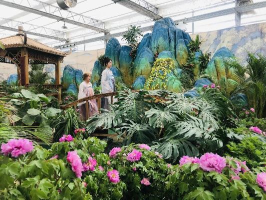 赤峰花客鮮花店電話地址查詢-第1張圖片