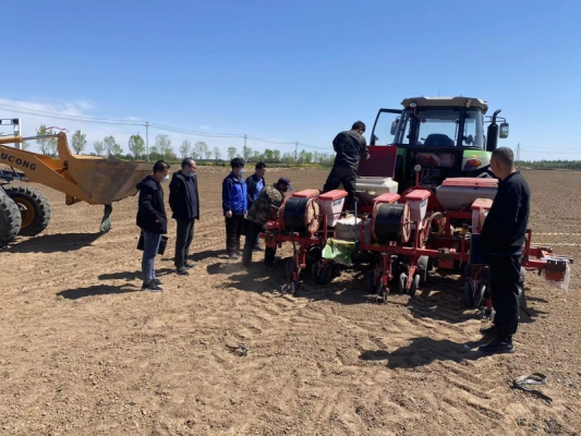 赤峰包谷種子銷售電話是多少號(hào)-第1張圖片