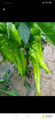 赤峰橋頭鎮(zhèn)水廠電話是多少號-第1張圖片