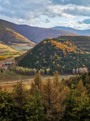 赤峰京京家庭農(nóng)場電話號(hào)碼查詢-第1張圖片
