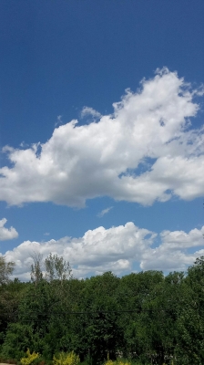 赤峰市銀鋼賓館電話地址查詢-第1張圖片