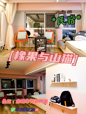 赤峰橋北丟貓電話多少號(hào)-第1張圖片