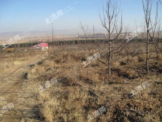 赤峰權(quán)盛生活館電話地址查詢-第1張圖片