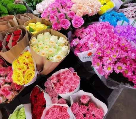 赤峰元寶山花卉市場-第1張圖片