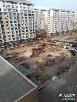 赤峰新城區(qū)剪發(fā)電話地址查詢-第1張圖片